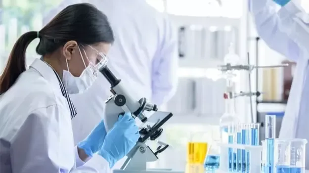 HoneyPezil science